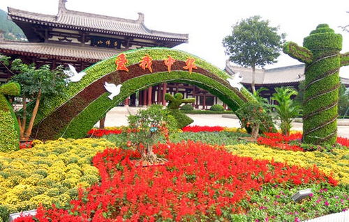 四川綠雕廠專(zhuān)業(yè)定制各種綠雕造型 景區(qū)廣場(chǎng)仿真綠雕造型定制價(jià)格